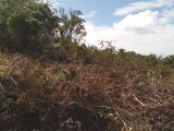 Residential lot For Sale in Sligoville, St. Catherine Jamaica | [8]