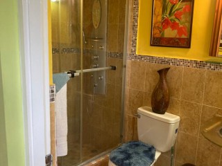 Apartment For Rent in Upper Waterloo Road, Kingston / St. Andrew Jamaica | [6]