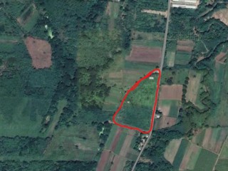 4 bed Commercial/farm land For Sale in Bushy Park, St. Catherine, Jamaica