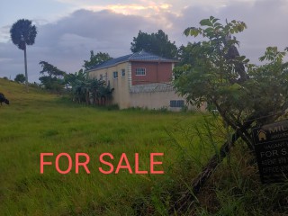 Residential lot For Sale in Knockpatric Mandeville, Manchester Jamaica | [7]