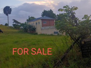 Residential lot For Sale in Knockpatric Mandeville, Manchester, Jamaica