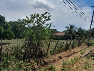 Residential lot For Sale in The Vineyards, St. Catherine, Jamaica