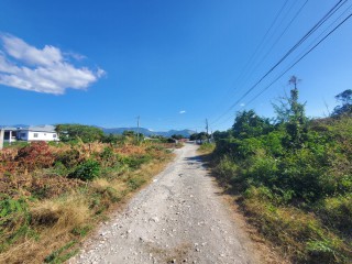 Residential lot For Sale in Albion Estate, St. Thomas, Jamaica