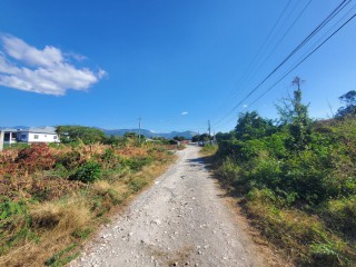 Residential lot For Sale in Albion Estate, St. Thomas Jamaica | [4]