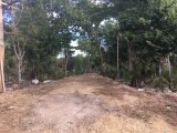 Residential lot For Sale in Negril, Westmoreland Jamaica | [5]