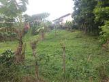 Residential lot For Sale in Fairy Hill Gardens, Portland Jamaica | [9]