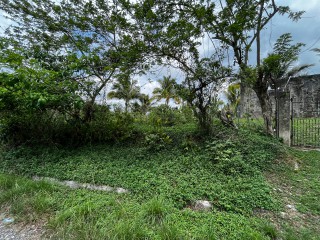 Land For Sale – Bethel Town, Westmoreland, Jamaica