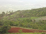 Residential lot For Sale in Spur Tree, Manchester Jamaica | [11]