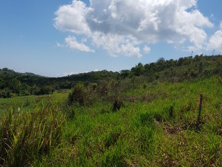 Residential lot For Sale in Kingsland, Manchester Jamaica | [6]
