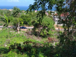 Residential lot For Sale in Tower isles, St. Mary, Jamaica