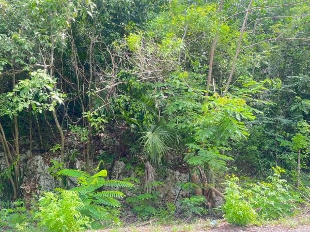 Development Land (Residential) For Sale in Woodside, Clarendon Jamaica | [6]