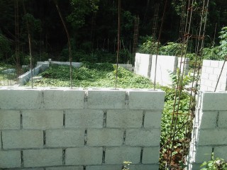 Land For Sale – Bunkers, Trelawny, Jamaica