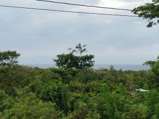 Residential lot For Sale in Boscobel, St. Mary Jamaica | [1]