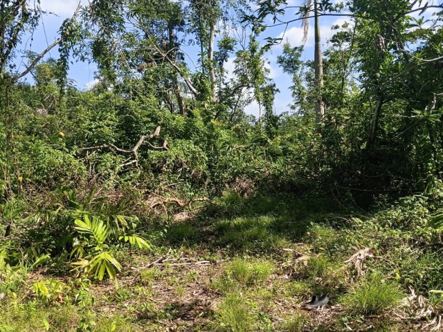 Residential lot For Sale in Great River, St. James Jamaica | [1]