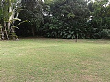 House For Sale in Mammee Bay Estate, St. Ann Jamaica | [9]