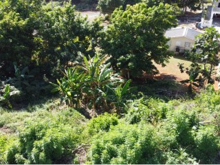 Residential lot For Sale in Belle Aire, St. Ann, Jamaica