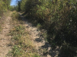 Residential lot For Sale in Yallahs, St. Thomas Jamaica | [8]