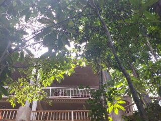 Apartment For Rent in Ocho Rios, St. Ann Jamaica | [1]
