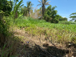 Residential lot For Sale in Bushy Park, St. Catherine, Jamaica