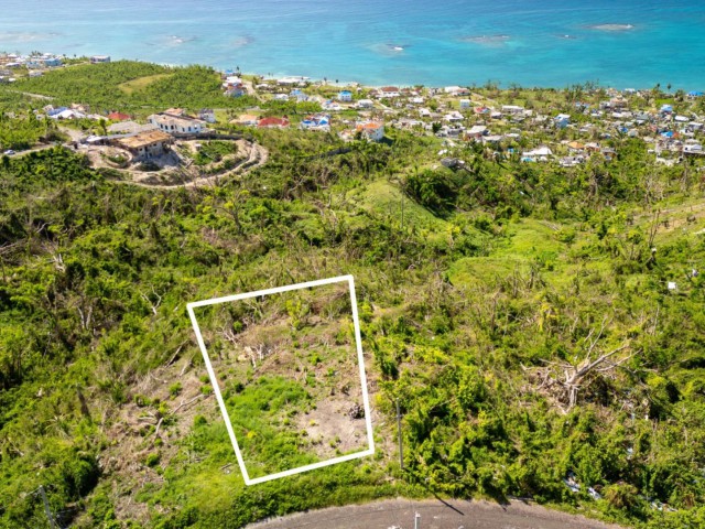 Residential lot For Sale in Culloden, Westmoreland Jamaica | [3]