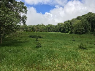 Residential lot For Sale in Chippenham Park Bamboo, St. Ann Jamaica | [1]