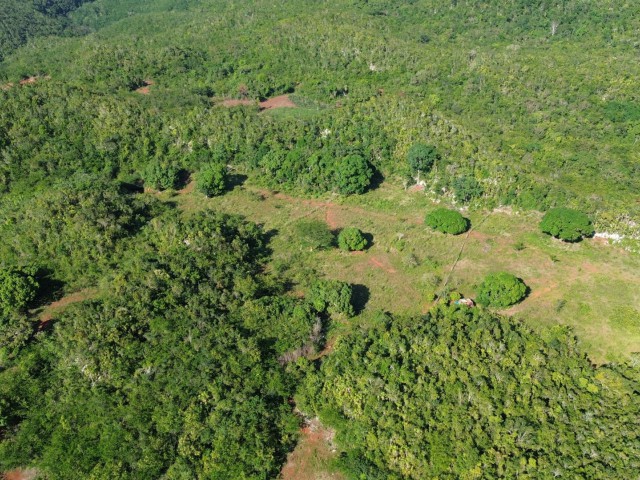 Land For Sale in Dover, St. Catherine Jamaica | [5]