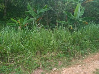 Residential lot For Sale in Red HillsMarveley Mountain, Kingston / St. Andrew, Jamaica