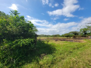 Commercial/farm land For Sale in Old Harbour, St. Catherine, Jamaica