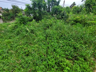 Residential lot For Sale in Cornwall Courts, St. James Jamaica | [1]