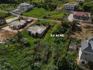 Land For Sale in Mandeville, Manchester Jamaica | [3]