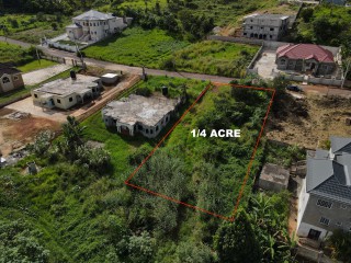 Land For Sale in Mandeville, Manchester, Jamaica