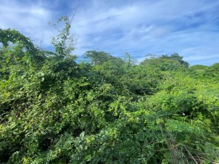 Residential lot For Sale in Galina, St. Mary, Jamaica