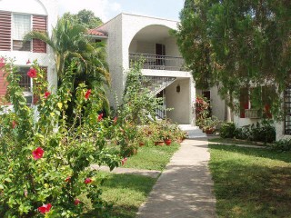 Apartment For Rent in Kingston 10, Kingston / St. Andrew Jamaica | [8]