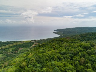  For Sale in Spring Mount, Portland Jamaica | [8]