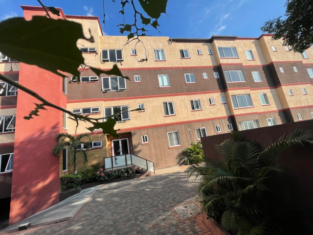 1 bed Apartment For Rent - New Kingston, Kingston / St. Andrew, Jamaica