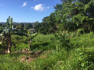 Residential lot For Sale in Mandeville, Manchester Jamaica | [3]