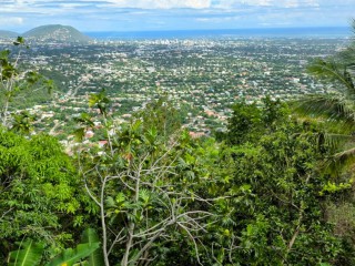 Apartment For Rent in Smokeyvale, Kingston / St. Andrew Jamaica | [14]