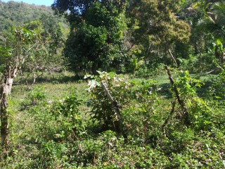 Residential lot For Sale in Evergreen near Mile Gully Manchester, Manchester Jamaica | [5]