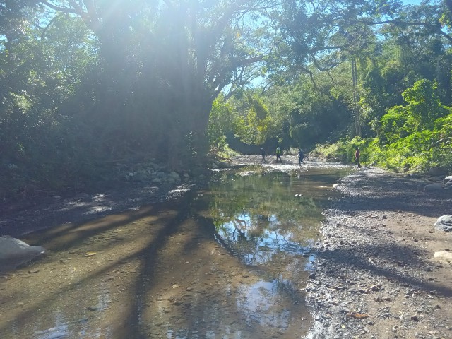 Commercial/farm land For Sale in Rock River, Clarendon Jamaica | [9]