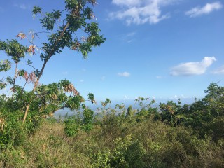House For Sale in Sligoville, St. Catherine Jamaica | [6]