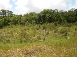 Land For Sale in Spur Tree, Manchester, Jamaica