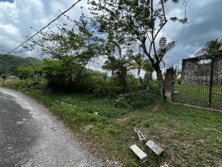 Land For Sale – Bethel Town, Westmoreland, Jamaica