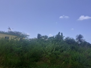 Residential lot For Sale in Milk River, Clarendon Jamaica | [3]