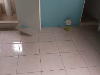 Apartment For Rent in Constant Spring, Kingston / St. Andrew Jamaica | [6]