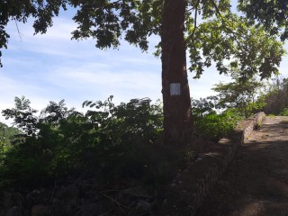 Land For Sale in Catherine Close, Kingston / St. Andrew Jamaica | [1]