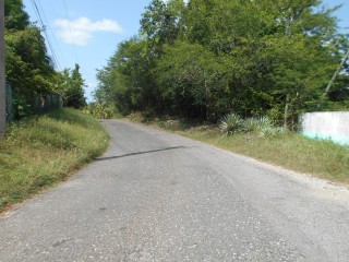 Land For Sale in Rosewell, Clarendon Jamaica | [4]