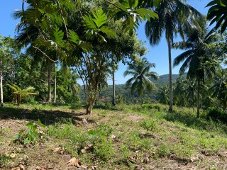 Land For Sale in Guys Hill, St. Mary Jamaica | [5]