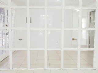Commercial building For Rent in Near Devon House, Kingston / St. Andrew Jamaica | [3]