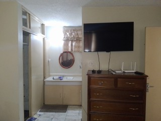 Apartment For Rent in New Kingston, Kingston / St. Andrew Jamaica | [4]
