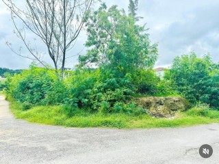 Residential lot For Sale – Boscobel st Mary, St. Mary, Jamaica